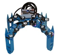 Les moteurs avec leurs identifiants